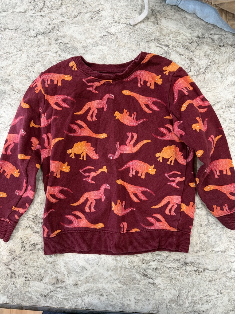 Cat & Jack Maroon Kids Sweatshirt with Orange & Pink Dinosaur Print